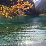 Shadow本尊27204的个人资料头像