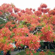 阿波就是我的个人资料头像