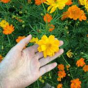 纪信不想说话的个人资料头像