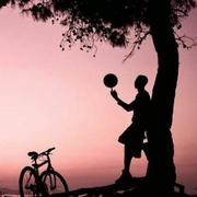 Chen队长27288的个人资料头像