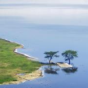 黄博的个人资料头像