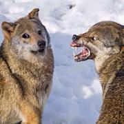 律政爬虫的个人资料头像