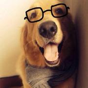 Athenaxu的个人资料头像