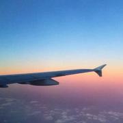 一棵树在掘金的个人资料头像