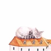 林肯差点的个人资料头像