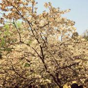 我就是小伟哥的个人资料头像