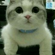 Jack君27550的个人资料头像