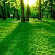 孙文龙不想说话的个人资料头像