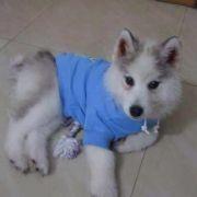 fantasy_欢欢的个人资料头像