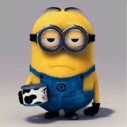 帕娃的个人资料头像