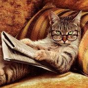 GB猫爷的个人资料头像