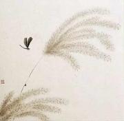 清秋引的个人资料头像