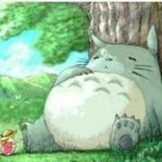 小丸熊zz的个人资料头像