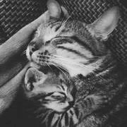 undefined的个人资料头像