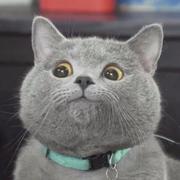 温钊迪的个人资料头像