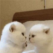 心欲无痕君的个人资料头像