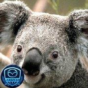 神仙小菜的个人资料头像