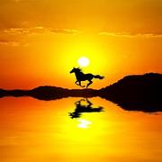 ruixinMRK的个人资料头像