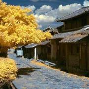 张飞酱的个人资料头像