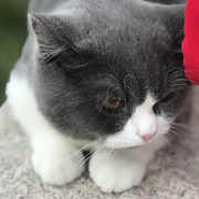 lilong7676的个人资料头像