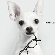 EgbertYuan的个人资料头像