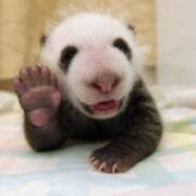 MrH同学28249的个人资料头像