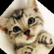 OAK28340的个人资料头像