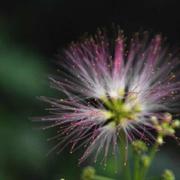 F0RWARD的个人资料头像