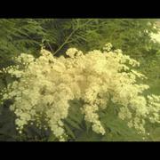 bingofree的个人资料头像