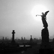 9allop_4ever的个人资料头像