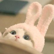 杨韵寒的个人资料头像