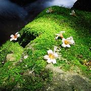 清侨的个人资料头像