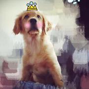 CuityMiko的个人资料头像