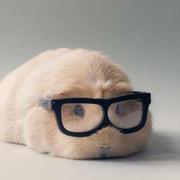 SelfZhangTQ的个人资料头像