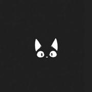 猫轨的个人资料头像