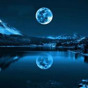 清风明月高的个人资料头像