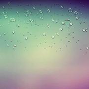 习惯同志29013的个人资料头像