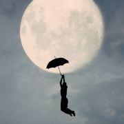 坐拥千千万万想法的周的个人资料头像