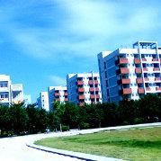 陳叻橙的个人资料头像