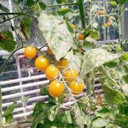 朱侠的个人资料头像