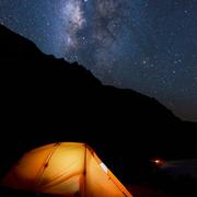 鱼鱼鱼鱼鱼的个人资料头像