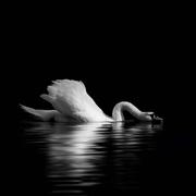 季源的个人资料头像