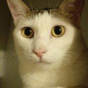 赏味不足的个人资料头像