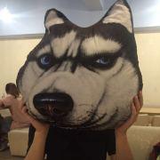 Leung_sam的个人资料头像