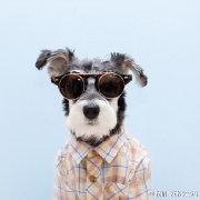 南知唔知的个人资料头像