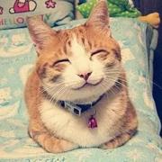 晨曦酱29269的个人资料头像