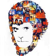 LichiaMa的个人资料头像