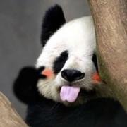 阿寳的个人资料头像