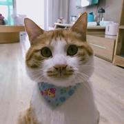 zenjoo的个人资料头像