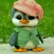 随愿的个人资料头像